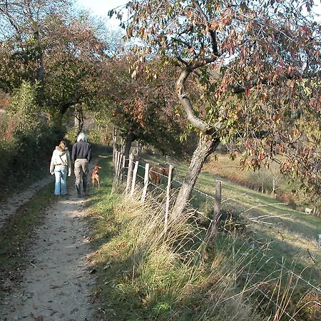 La Grange Mynas Saint-Chamond